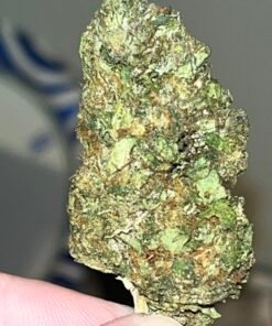 Alternative view of Gas Leak