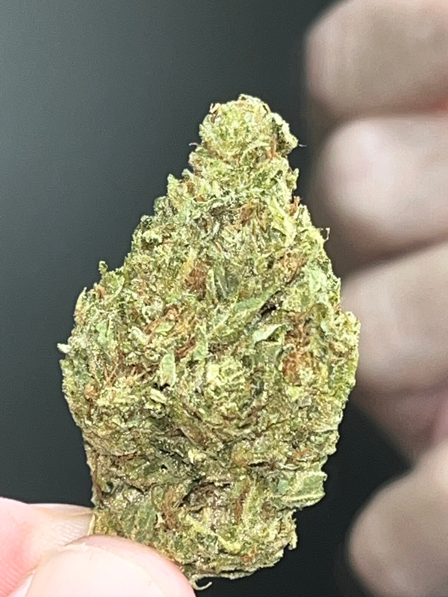 Test Item, ganja