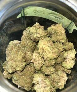 Zoap Essential (User Video)