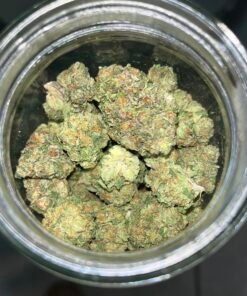 Gelato 41 Preferred (User Video)