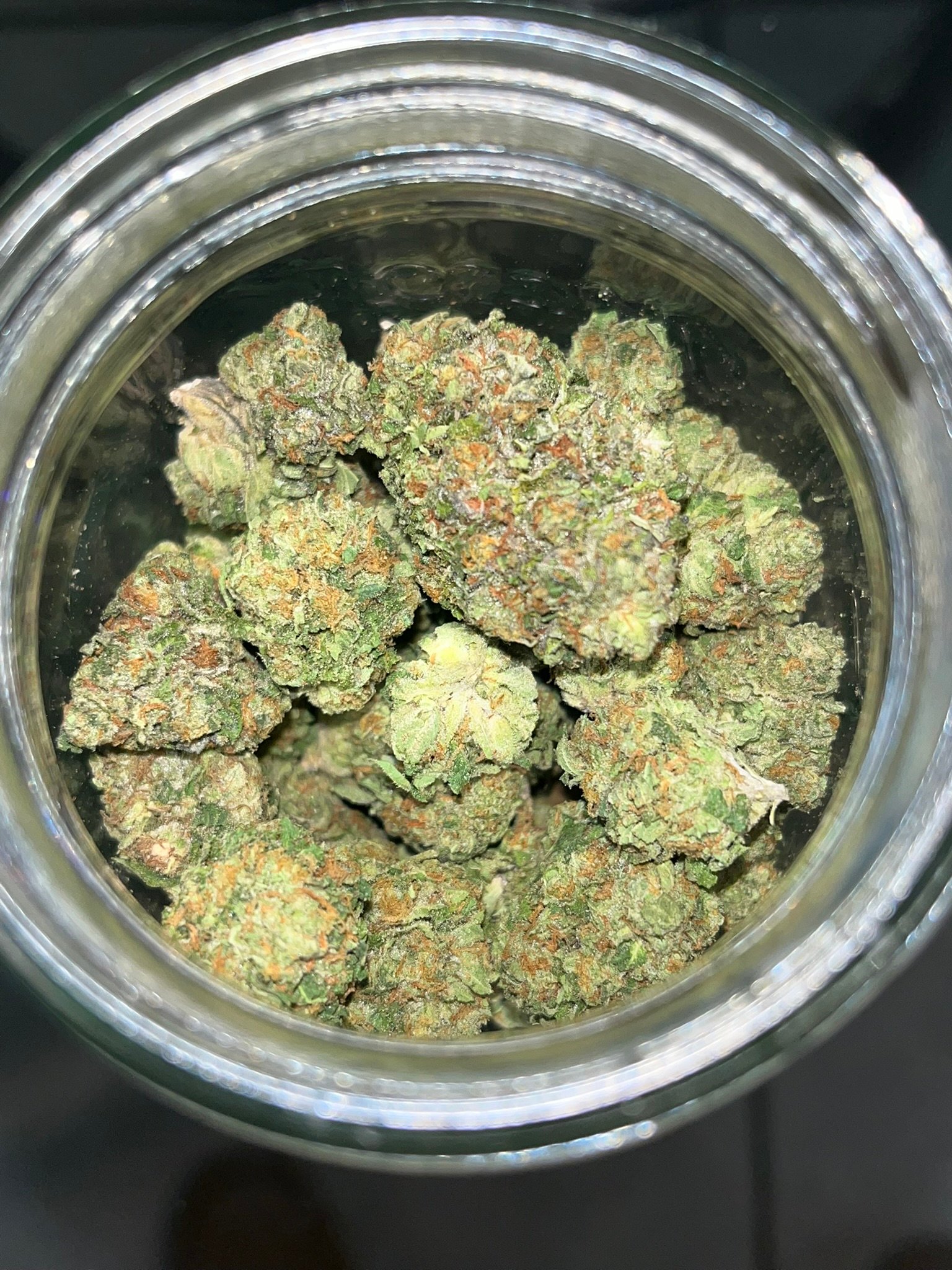 Gelato 41 Preferred (User Video)