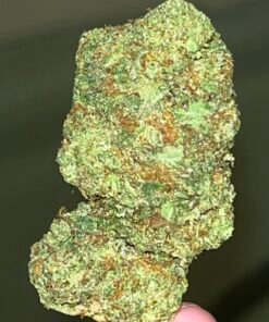 Oreoz Preferred (User Video)