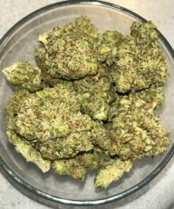 Super Runts Preferred (User Video)