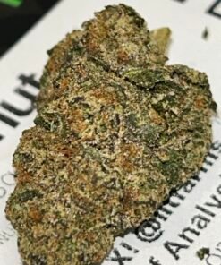 Wizard Fuel  (User Video)