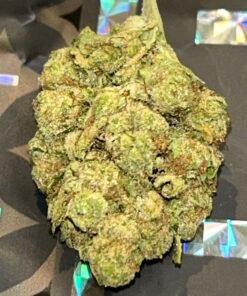 Tuscan Gelato (User Video)