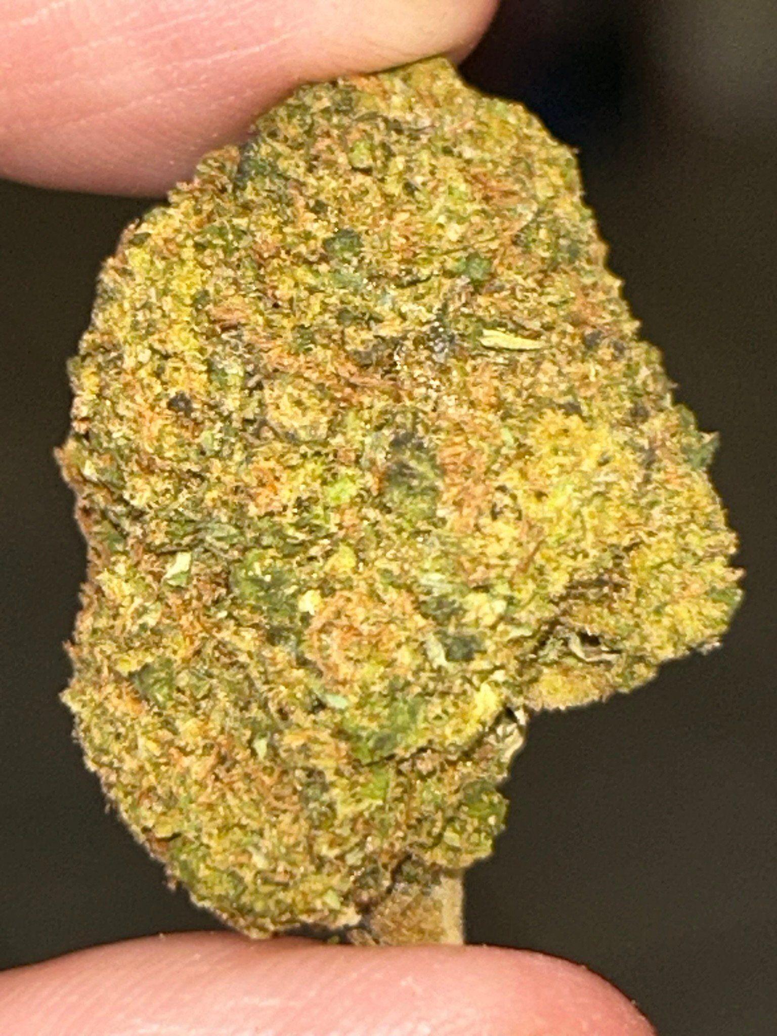 Glitter Bomb (User Video)