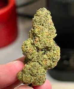 Black Valentine (User Video)