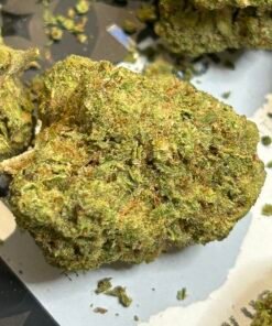 Black Cherry Gelato (User Video)