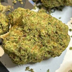 Black Cherry Gelato (User Video)