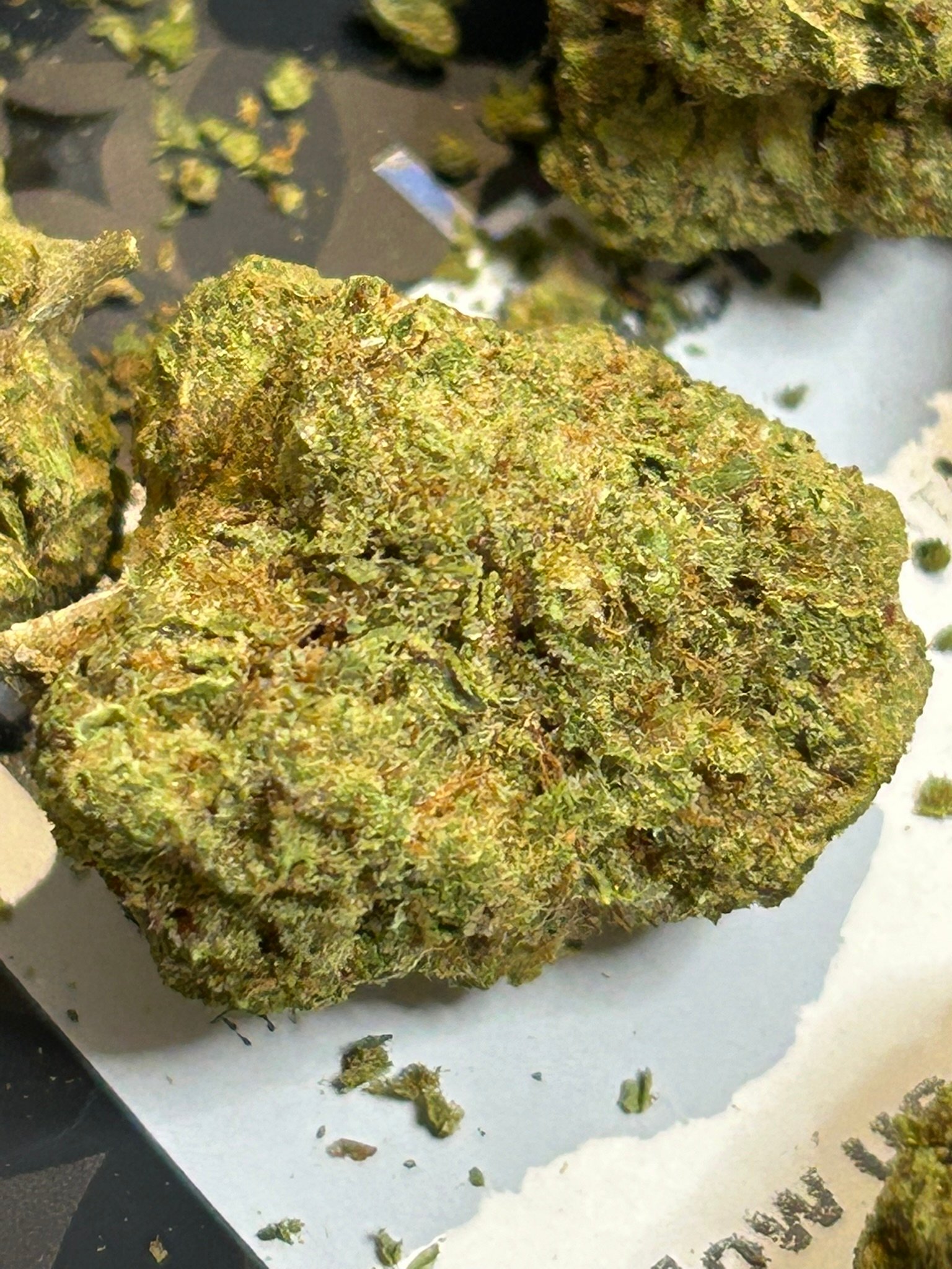 Black Cherry Gelato (User Video)