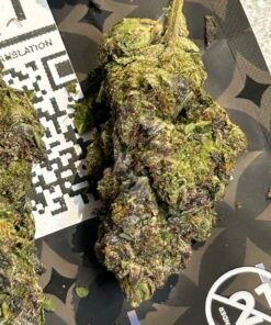 Jealous Runtz (User Video)