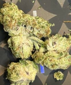 Rainbow Runtz (User Video)