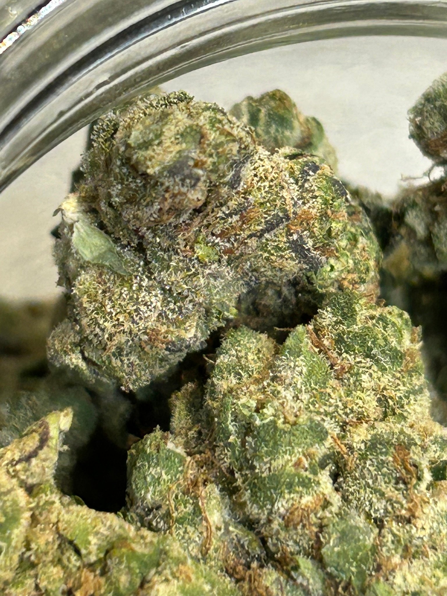 Hashburger (User Video)