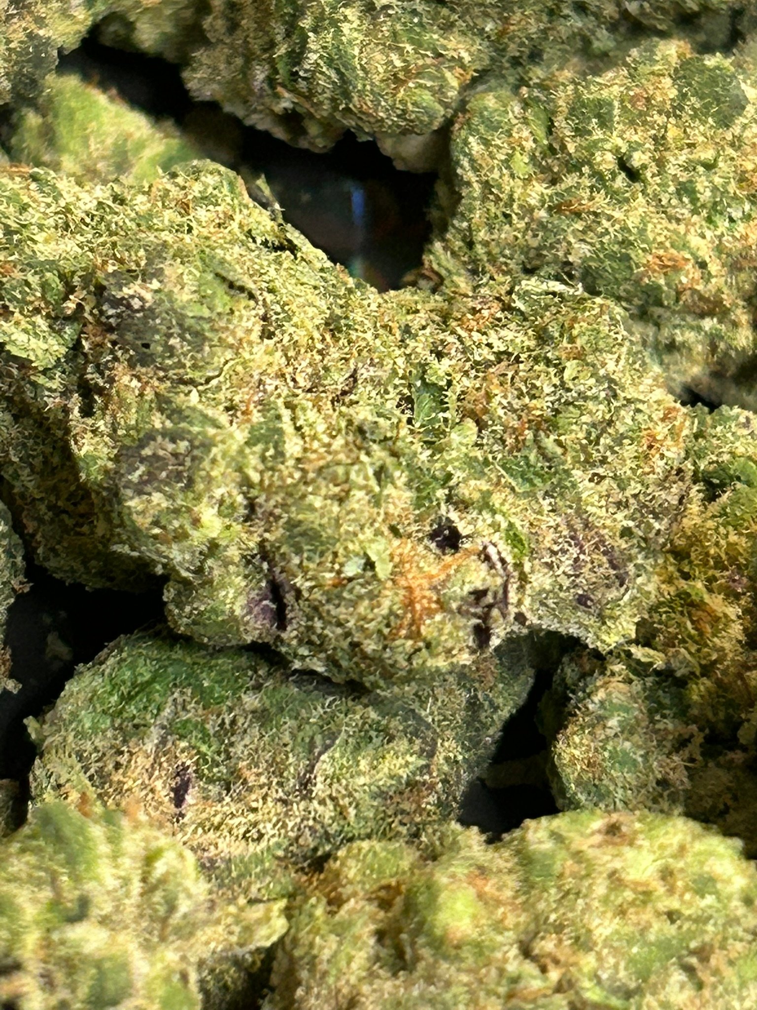 Hi-Octane (User Video)