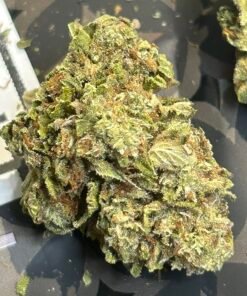 Lemon Zoap Essential (User Video)