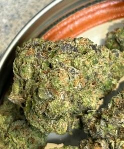 Warheads (User video)