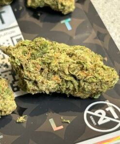 Candi Paint (User Video)