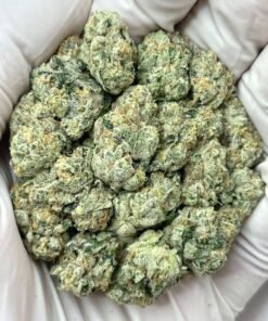 Strawberry cough INDOOR (In house wholesale oz/lb)