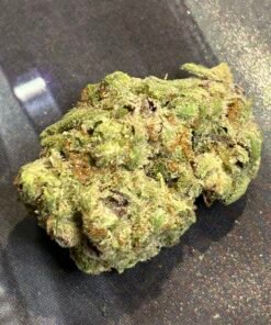 Oreoz indoor (user pics)