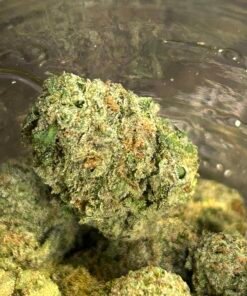 Alternative view of Velvet Gas Exotic (pics/vids)