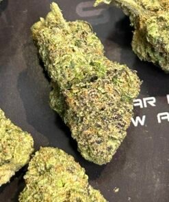 Velvet Gas Exotic (pics/vids)