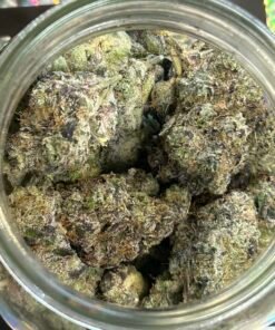 Alternative view of Blue Runts (Exotics)