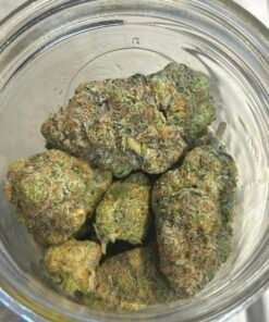 Strawberry Mimosa Exotic OZ (User pics/vid)