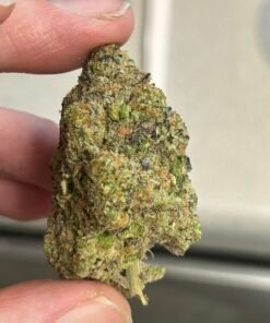 Alternative view of Strawberry Mimosa Exotic OZ (User pics/vid)