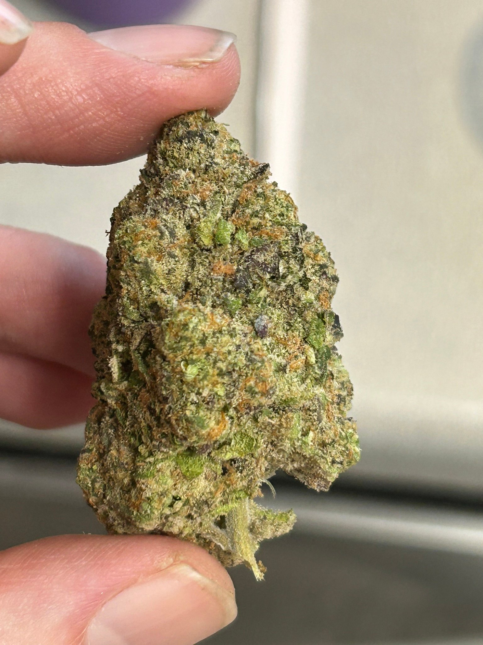 Strawberry Mimosa Exotic OZ (User pics/vid) - Image 2