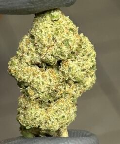 Black Ice Greenhouse (Standard Dep)