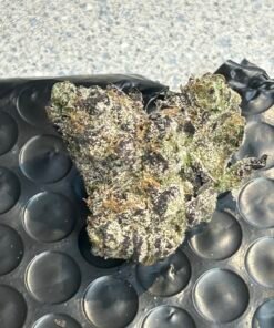 Blue Runtz Exotic OZ (user pics/vid)