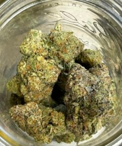 Alternative view of Strawberry Mimosa (Exotic) (User pics/vid)