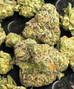 Strawberry Mimosa (Exotic) (User pics/vid)