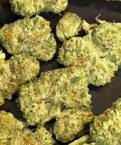 Alternative view of Black Ice Greenhouse (Standard Dep)