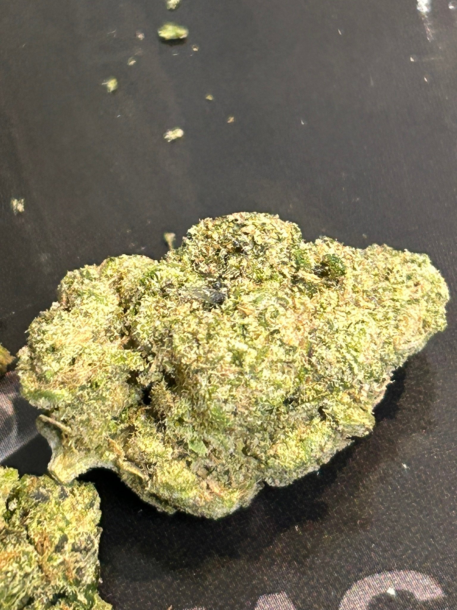 Sugar Tab Exotic (User Pics/Vid) - Image 5