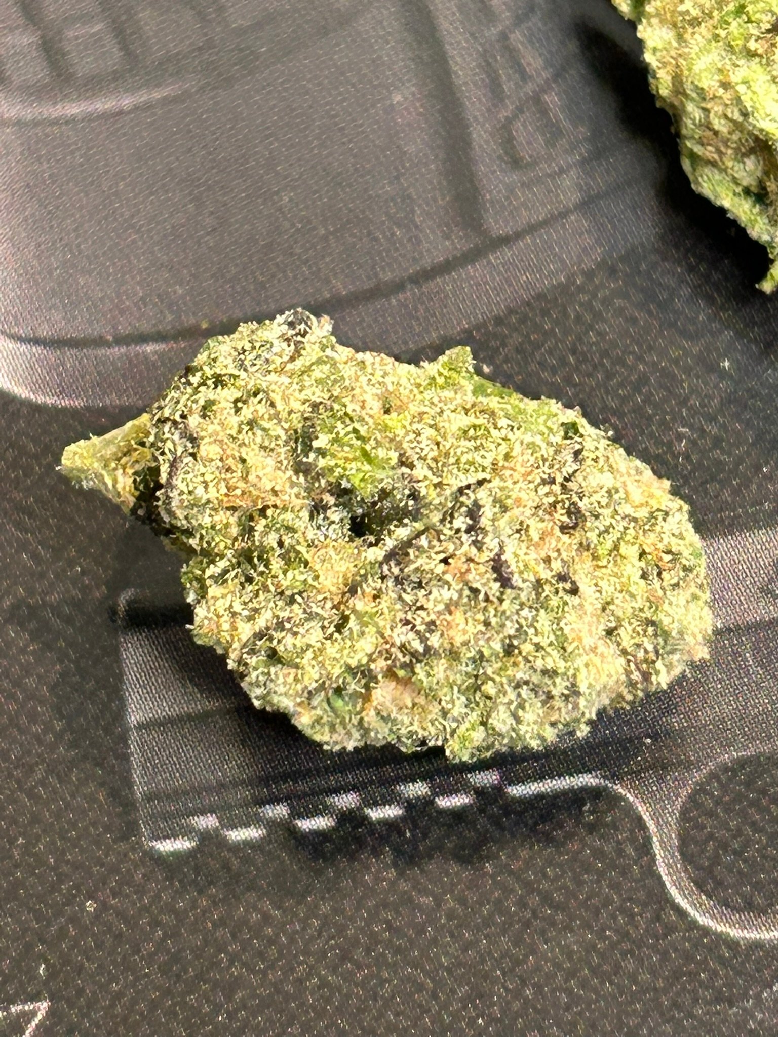 Sugar Tab Exotic (User Pics/Vid) - Image 7