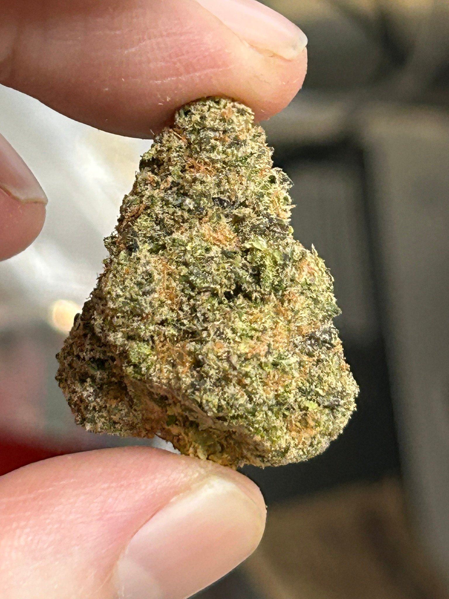 Sugar Tab Exotic (User Pics/Vid) - Image 9