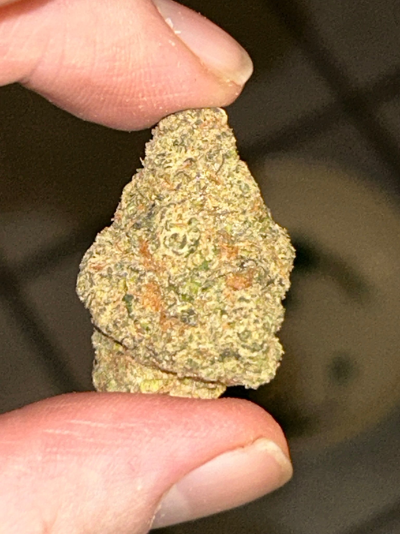 Sugar Tab Exotic (User Pics/Vid) - Image 10