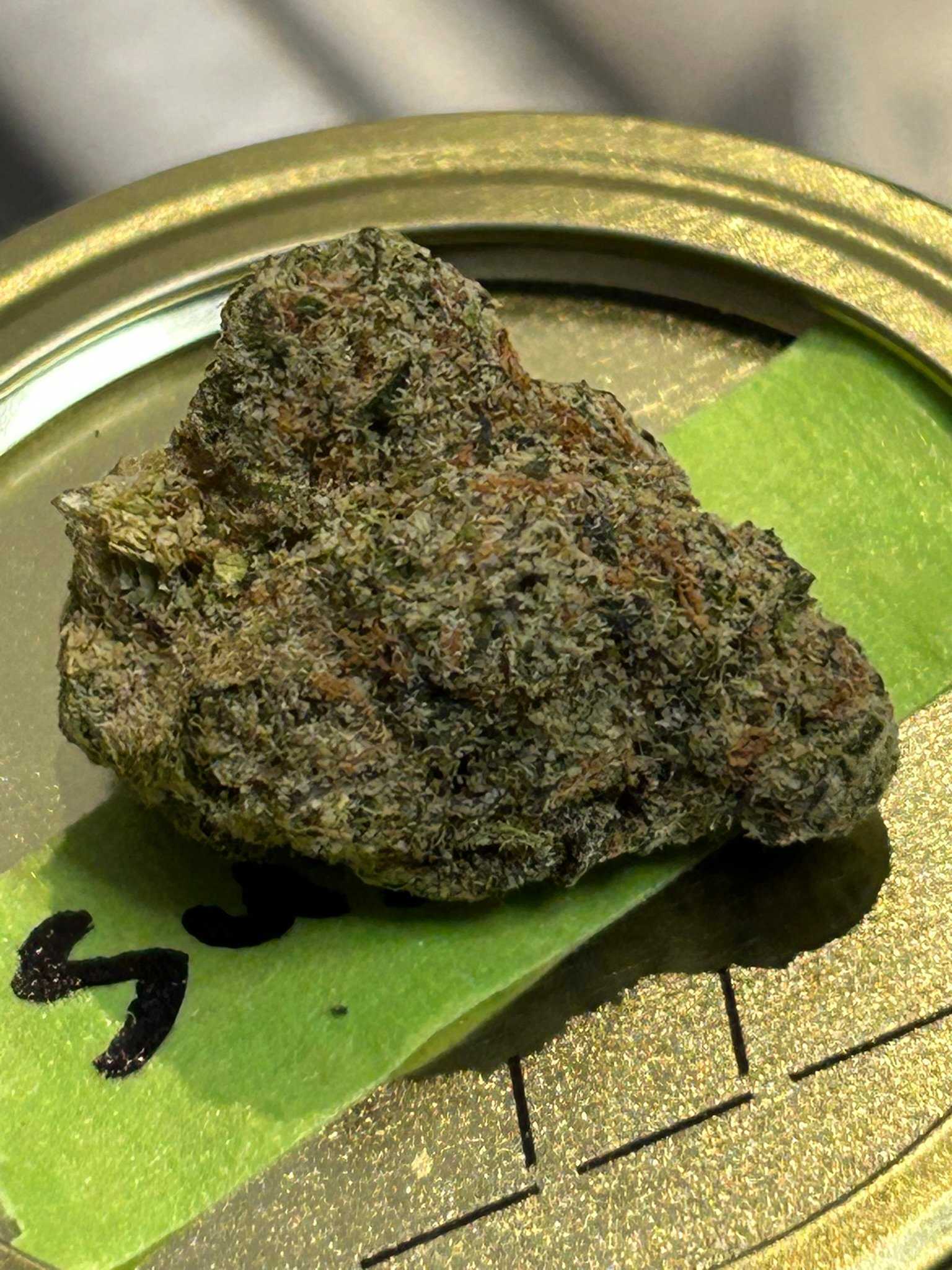 Sugar Tab Exotic (User Pics/Vid) - Image 12