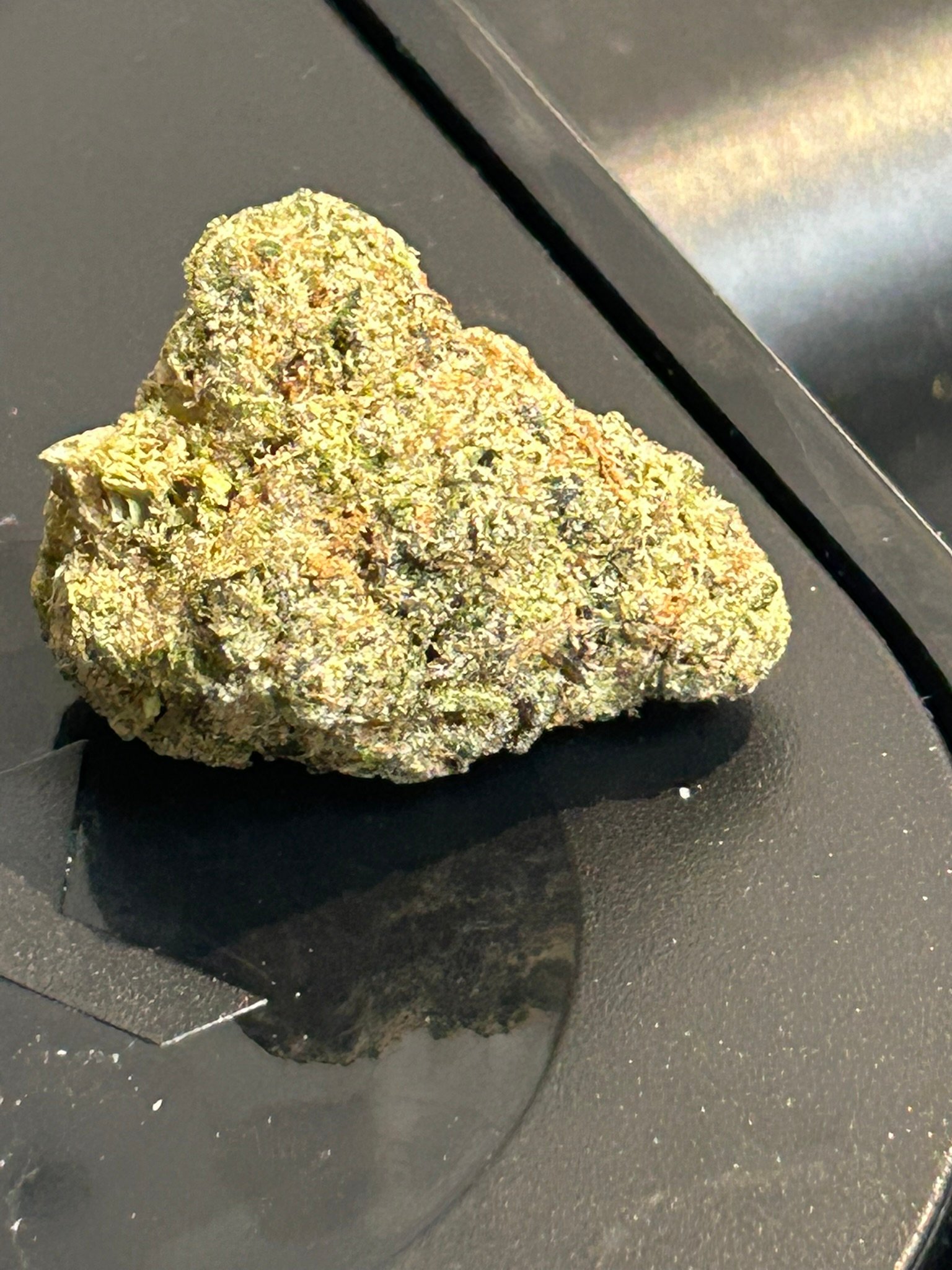 Sugar Tab Exotic (User Pics/Vid) - Image 13