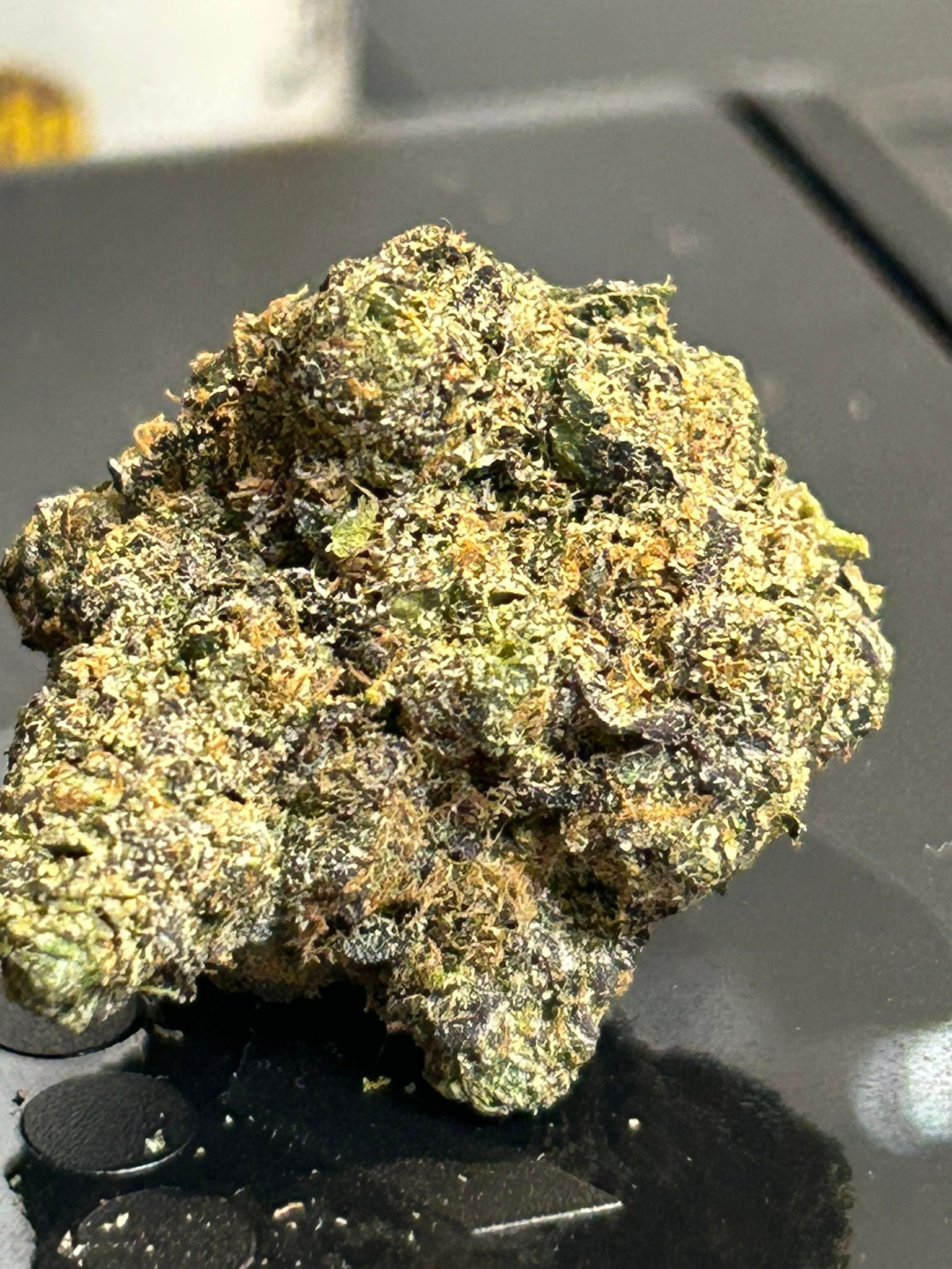 Triple Blue Slushie Exotic (User pics) - Image 4