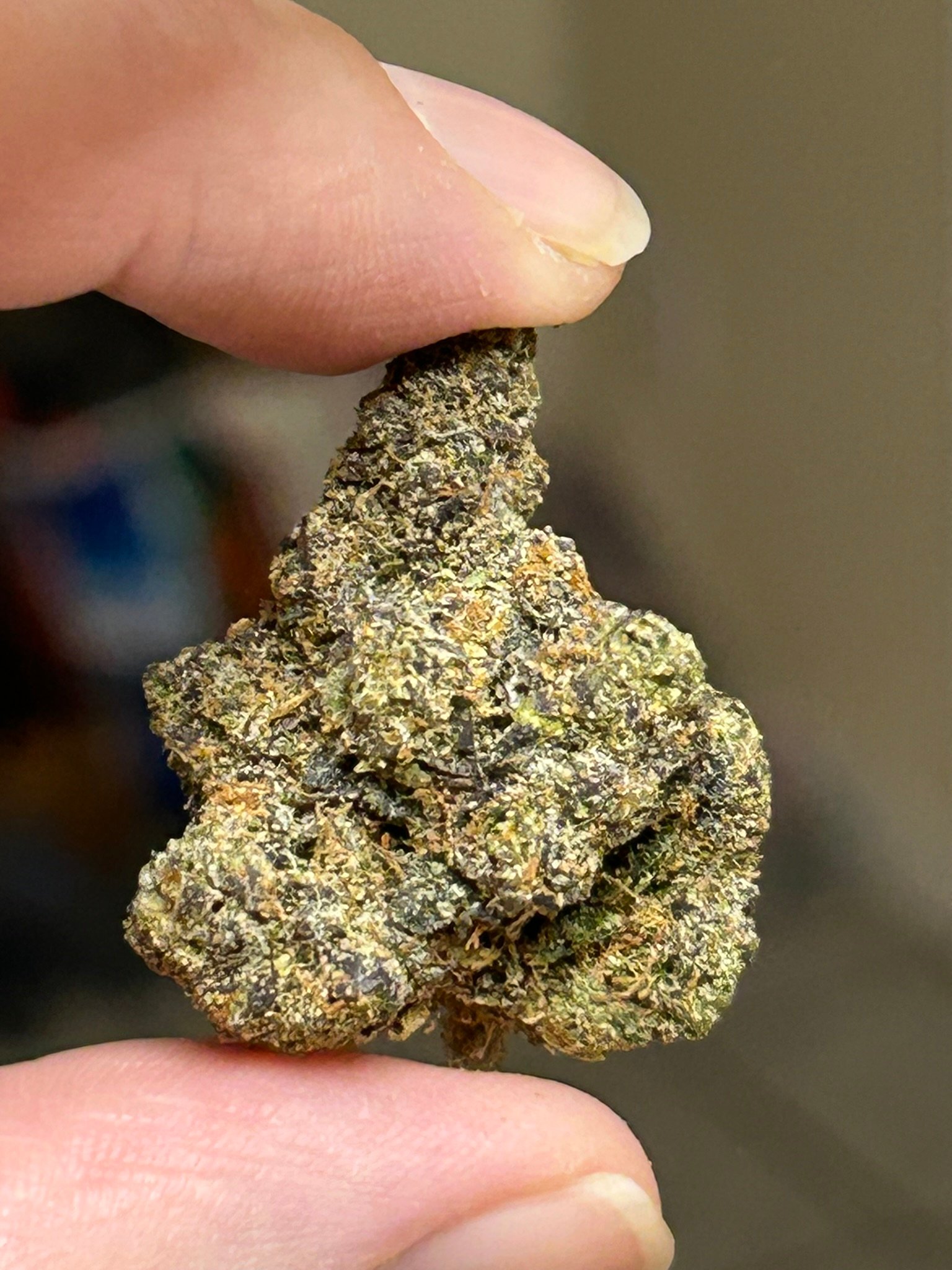 Triple Blue Slushie Exotic (User pics) - Image 7