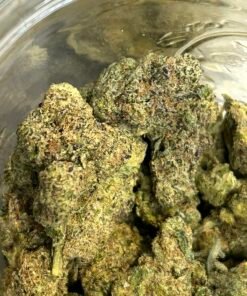 LIT OG Exotic (User Pics/Vid)