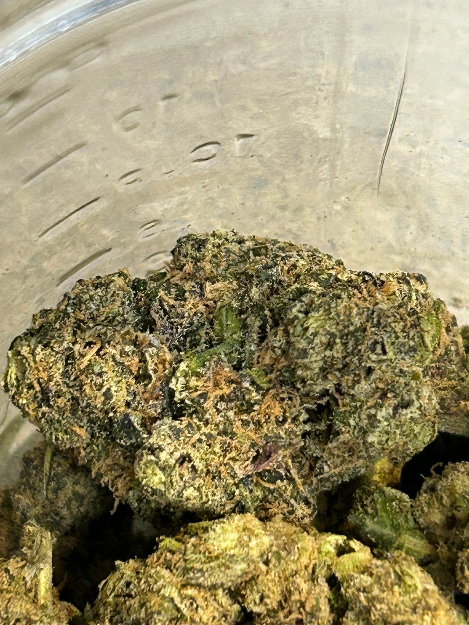 Sharpies Exotic (User Pics/Vid) - Image 3