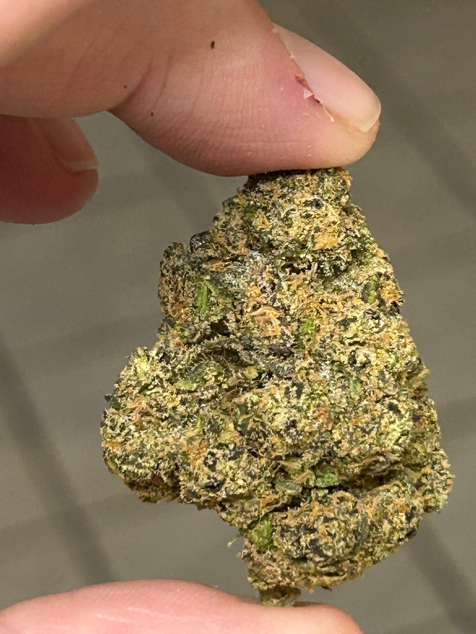 Sharpies Exotic (User Pics/Vid) - Image 5