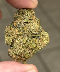 Alternative view of Sharpies Exotic (User Pics/Vid)