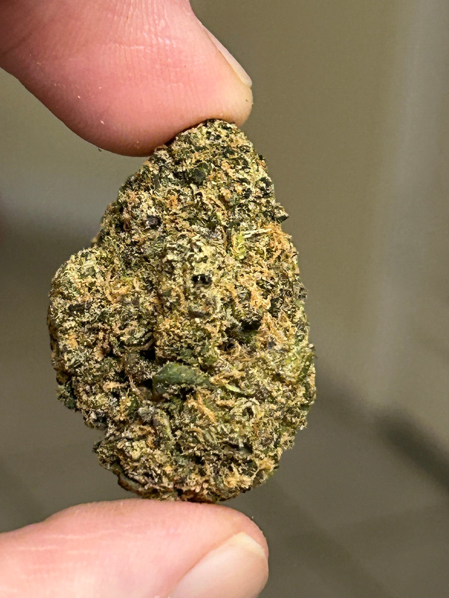 Sharpies Exotic (User Pics/Vid) - Image 12