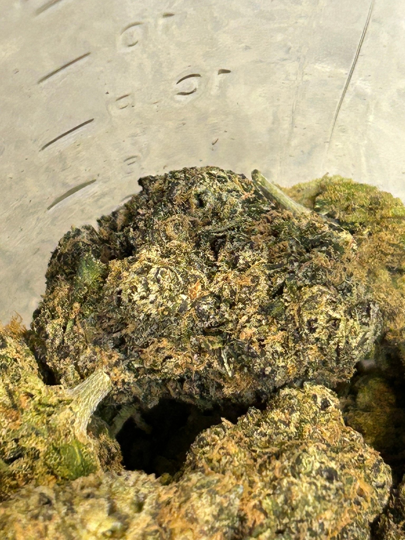 Sharpies Exotic (User Pics/Vid) - Image 14