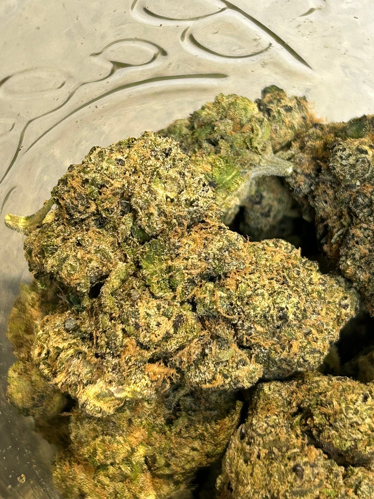 Sharpies Exotic (User Pics/Vid) - Image 15