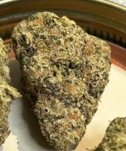 Sugar Tab Exotic (User Pics/Vid)